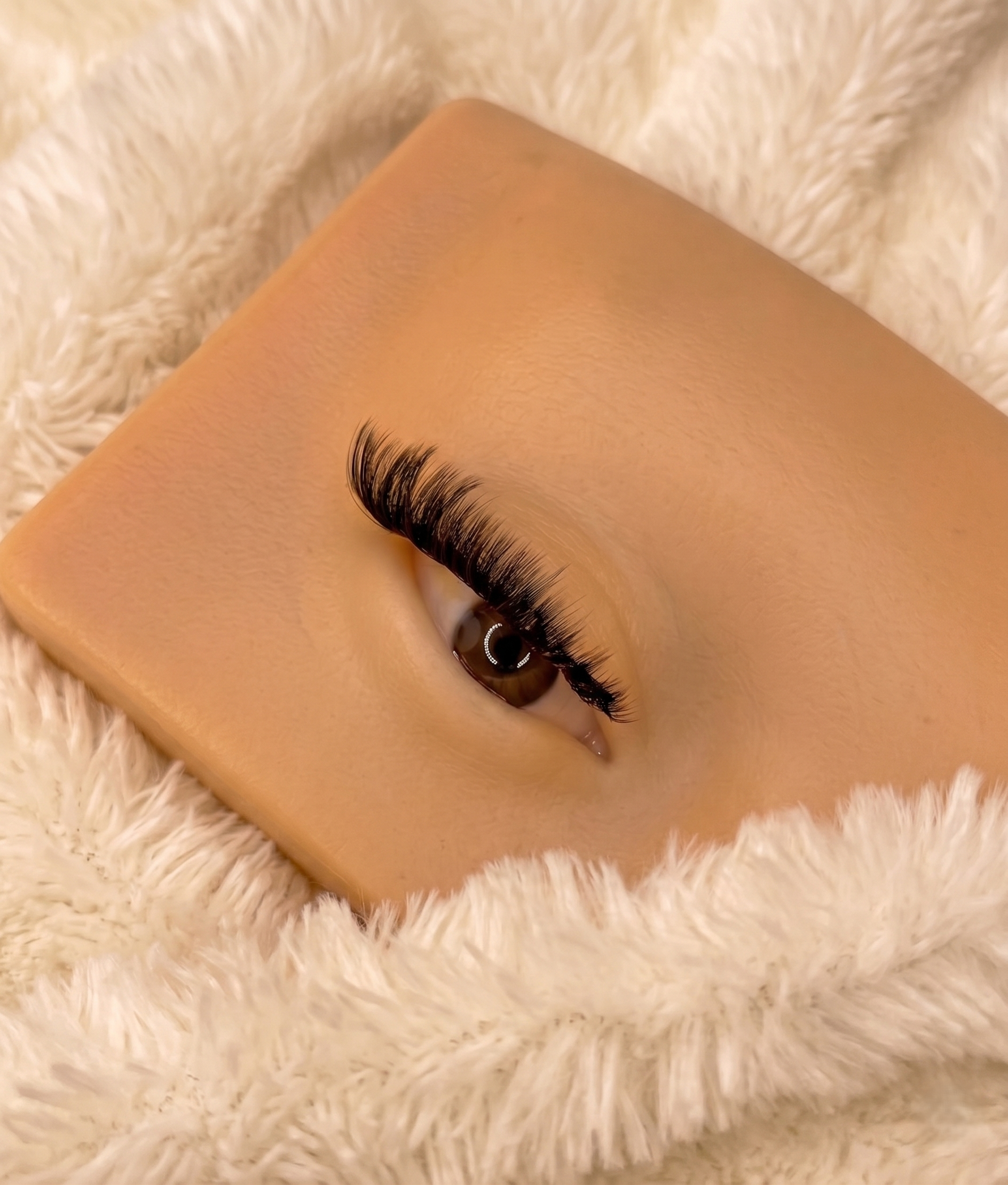 Soft Glam Lashes